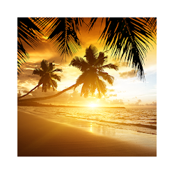 غروب الشمس على الشاطئ للجدران