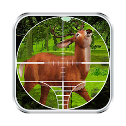 صيد الحيوانات الغابات