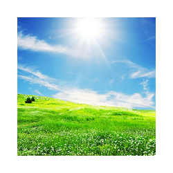 طبيعة خلفيات حية