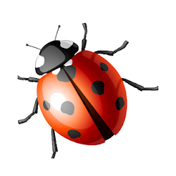 Agro-Insects - कट जञन