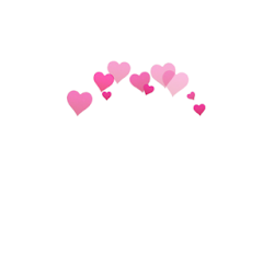 Photo Booth Heart Effect  Flower Crown - Crownify