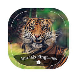 تطبيق Animals Ringtone