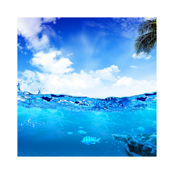 المحيط خلفيات حية