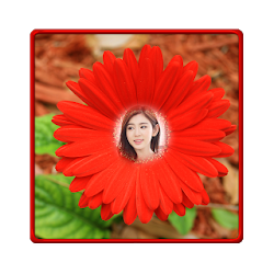 Sunflower Photo Frames