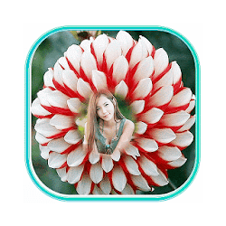 Photo Editor - Dahlia Flower