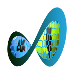 تطبيق Fusion Duo