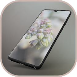 تطبيق Theme for Realme C3