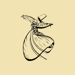 شاعرانه گویا - فردوسی حافظ خیام مولوی سعدی