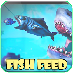 Walkthrough for fish feed