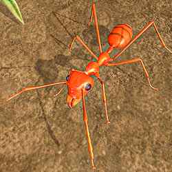 لعبة Ant Insect Games - Queen Fire Ant Simulator