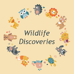 Nat Geo Wild Africa Animals