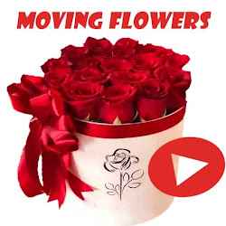 Animated Moving Flowers stickers for Whatsapp