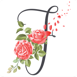 Aroma Flowers UAE - Flowers Delivery App in UAE