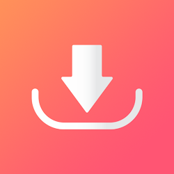 Video Downloader - Story Saver
