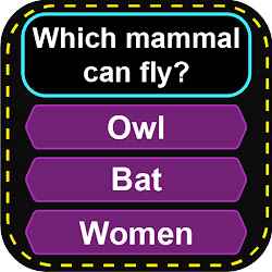 Quiz Game Questions  Answers