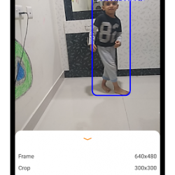 TensorflowLite ObjectDetection 2470172 v4.0.0