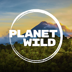 تطبيق Planet Wild