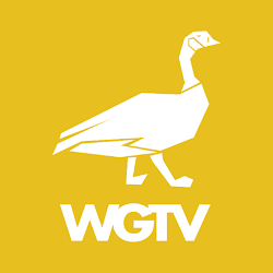 تطبيق Wild Goose TV