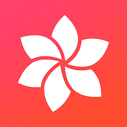 Gallery Phone 15 OS 17 Photos