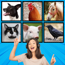 Animal Name Challenge Quiz