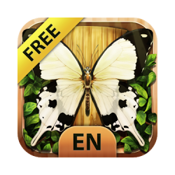 Sky Insect BuddiesFREE