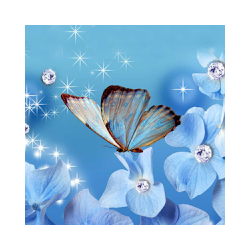 فراشة خلفيات حية