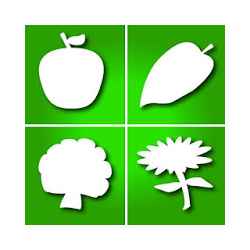 Home Farm Flowers Fruits and Vegetables