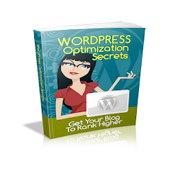 WordPress Optimization Secrets